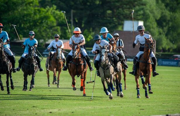 Polo Lessons in Mar del Plata: Learn and Improve Your Game