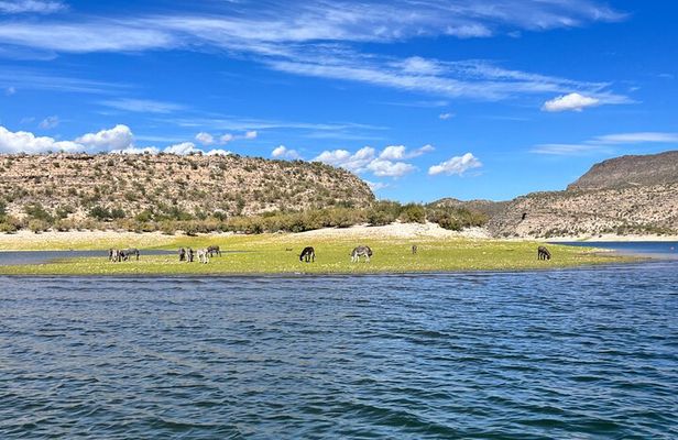 Lake Pleasant Pontoon Cruise with Captain