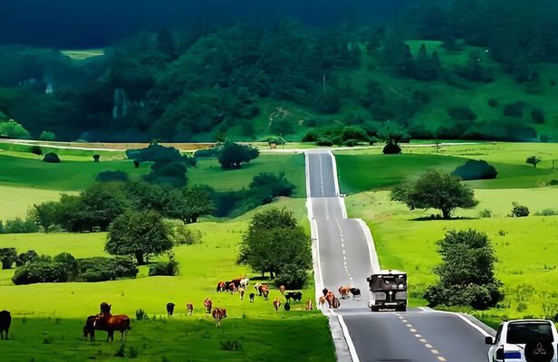 Chongqing Private 1-Day: Natural Stone Bridge&Fairy Mountain Park