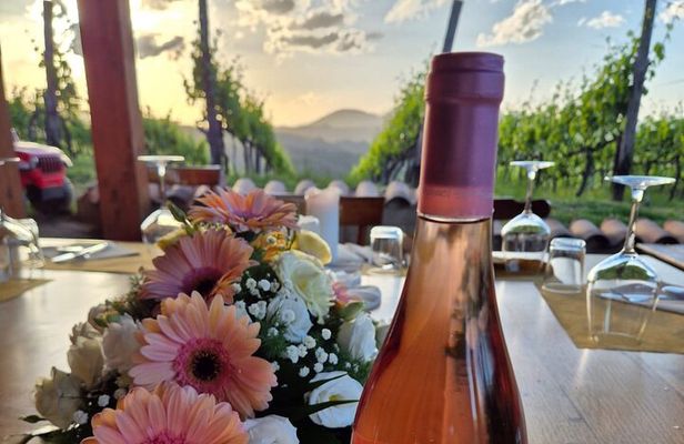 Vineyard Tasting and Aperitivo Day Trip from Rome