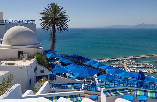 Full Day Excursion Tunis Carthage and Sidi Bou Said From Tunis