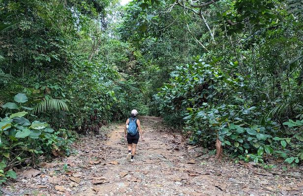 Jungle and Heritage Walk in Singapore