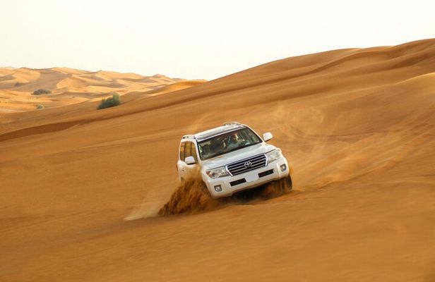Doha Half-Day Desert Safari with Dune Bashing Camel Ride 