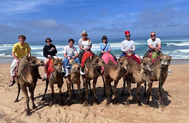 4 Hour Private Tangier Tour 