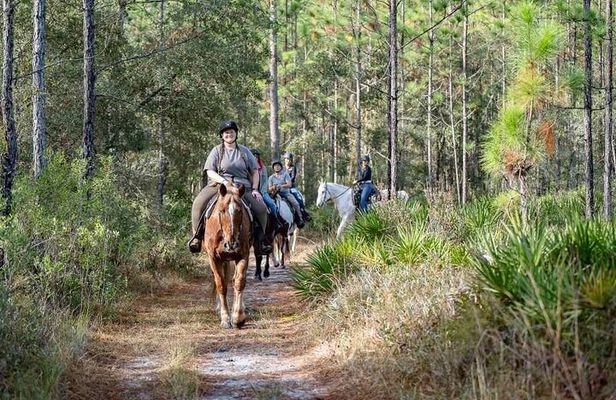 1-Hour Goethe Forest Horseback Trail Ride