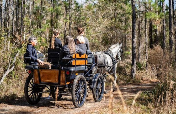 Goethe Forest Carriage Ride (Holds up to 4 People)