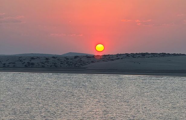 Doha Desert Safari Adventures in Day and Night 