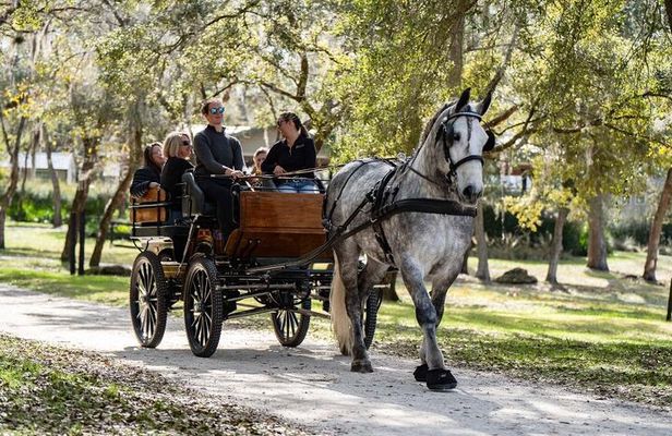 Sunset Carriage Ride and Dinner (Holds up to 4 People)