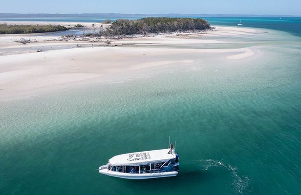 Great Sandy Straits Seven Island Ultimate Wildlife Cruise