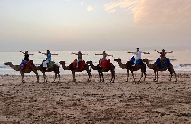 Tangier Camel Ride at Sunset with Moroccan tea and Sweets