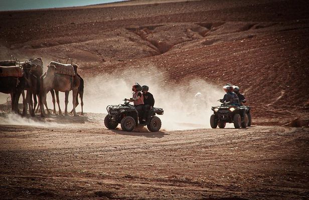 2 Hours Quad Bike and Camel Ride on Sunset in Marrakech Palmerie