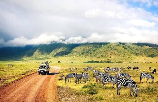 2 Day Fly In - Fly Out Zanzibar to Tarangire & Ngorongoro Safari