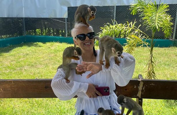 Puerto Plata: Monkey Tours Learning and Nature