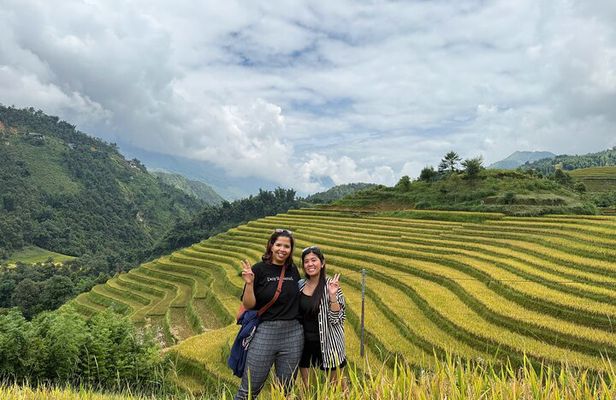 Sapa 1 Day Trek With Local Guide - Villages & Rice Fields 