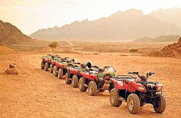 Quad Bike Safari and Dinner Tour in Luxor From Luxor