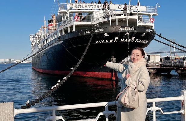 Yokohama Private Accessible & Customizable Tour Tokyo Day Trip