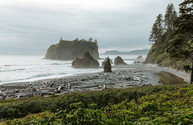 Olympic Two Day Private Tour and Hike