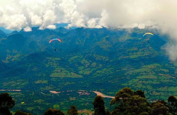Private Tour: Coffee Village + Paragliding Flight from Medellin