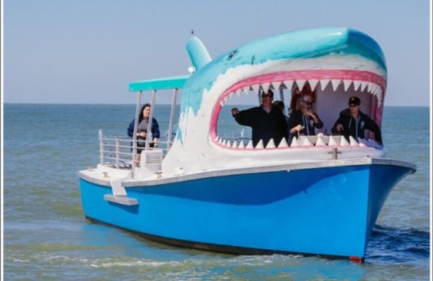 Shark Boat Destin Dolphin Watch and Sunset Cruise