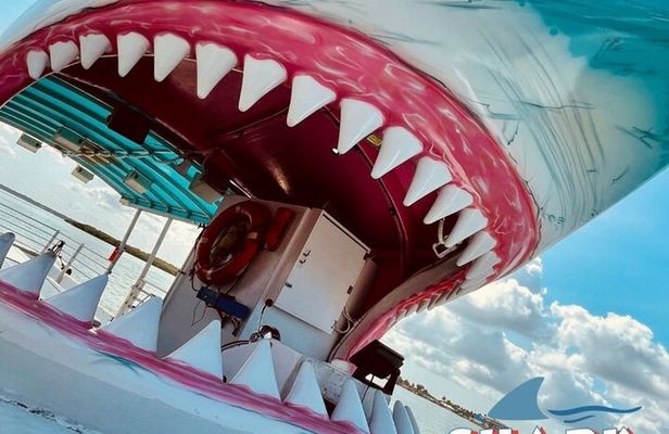Shark Boat Destin Dolphin Watch and Sunset Cruise