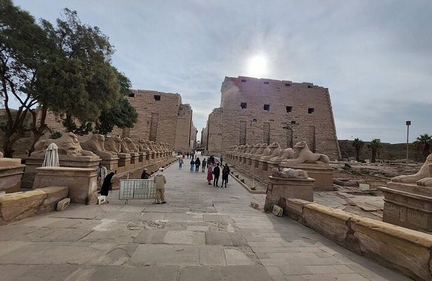 Half Day East Bank Private Tour to Luxor and Karnak Temples