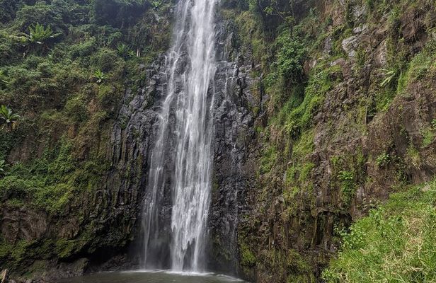 Materuni Waterfall, Coffee Tour & Chemka Hot Spring 