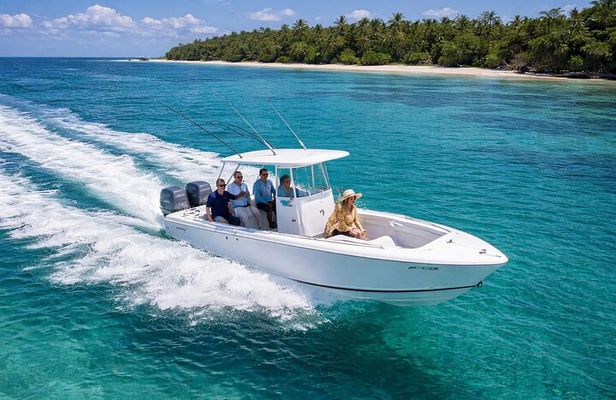 Private Isla Saona & Palmilla Snorkeling Boat Tour