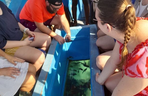 Elky Diani Glass Bottom Tour to Robinson Island