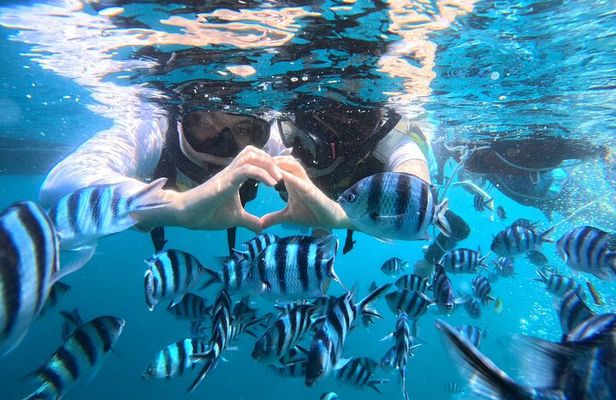 Okinawa Blue Cave Snorkeling Adventure with Free Photos