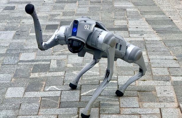 Shenzhen 0.5 or 1 Day: "Tech Focus Tour" or "Culture+Tech Tour"