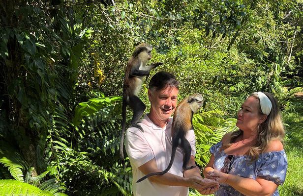 Nature Lovers: Customizable Exploration of the Island (4+ HOURS)