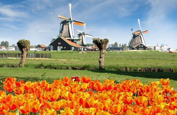 Amsterdam: Keukenhof Gardens and Zaanse Schans Windmills Day Tour