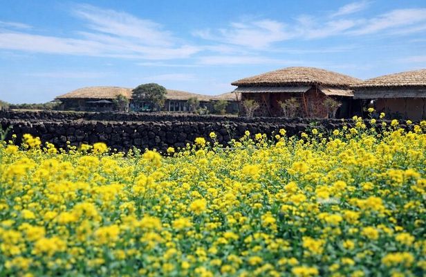 East Jeju Essentials – Seongsan Ilchulbong (UNESCO) & Haenyeo 