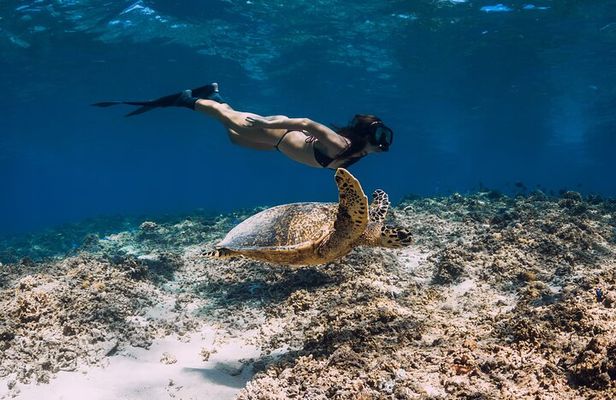 Honeymoon Beach St. Thomas Snorkeling Charter