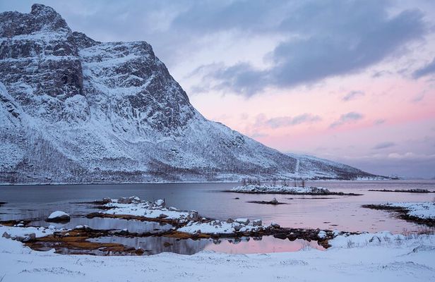 Tromso: Into the Fjord - A Small Group Scenic Day Tour