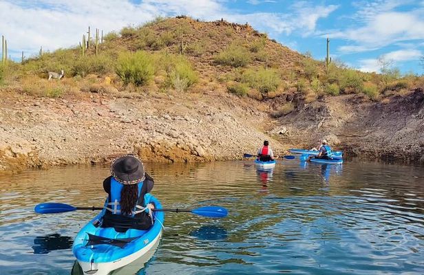 Single Kayak Morning Tour