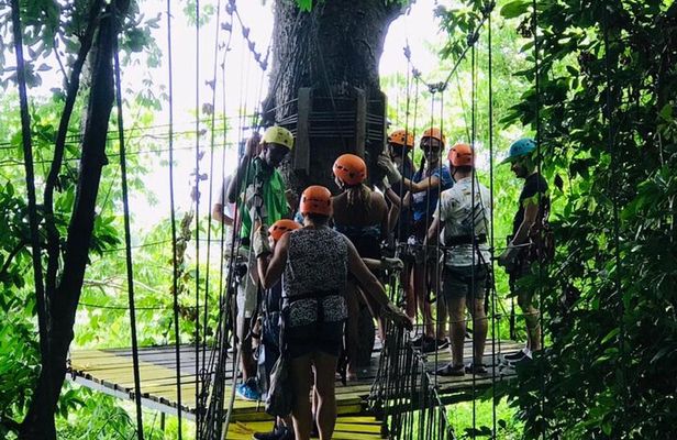 Zipline + City Tour & Sanctuary Park