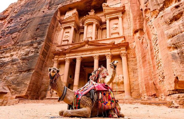 Petra Day Tour from Amman Explore the Red Rose City