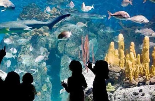 Temaiken Biopark Tour with Transfer Included