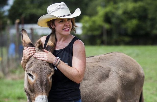 Farm to Picnic: Animals, Seasonal Upick Fruit & Countryside Lunch