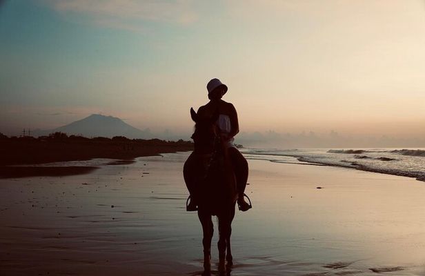Bali Sunrise Horse Riding Experience Include Transfer