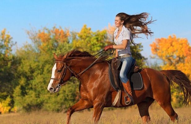 Guided Horseback Riding Adventure in Miami Countryside