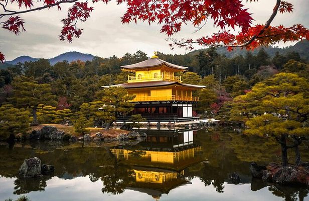Private Day in Kyoto Customized Travel Experience in English