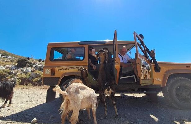 Guided Jeep Safari With Swimming And Snacks