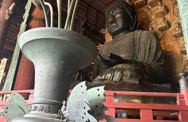 Nara Deer, Great Buddha & Traditional Mochi Experience