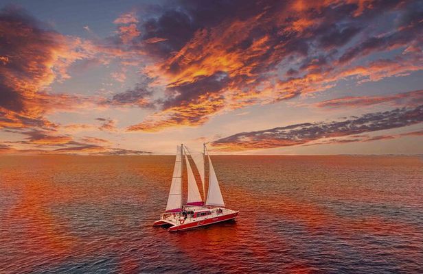 Aruba Morning Snorkeling or Sunset Sail to Boca Catalina With BBQ