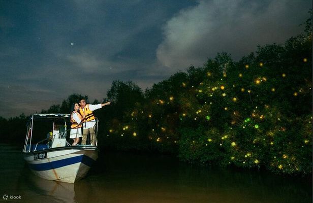 Mystical Nights Fireflies and Blue Tears Adventure Join in Tour