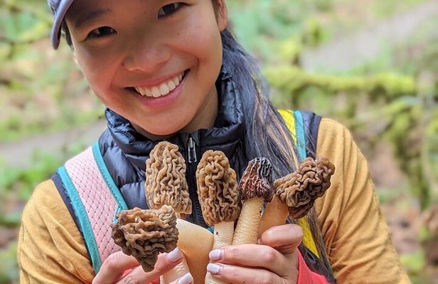 Intro to Seattle Mushroom Foraging