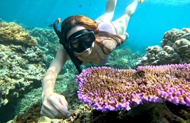 Snorkeling Blue Lagoon With lunch 