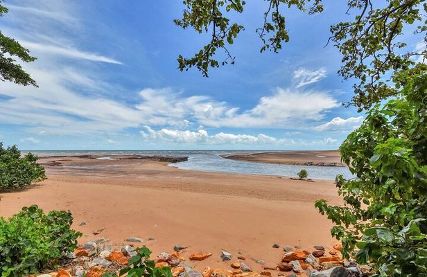 Darwin Signature City Nature and Sights Shore Excursion